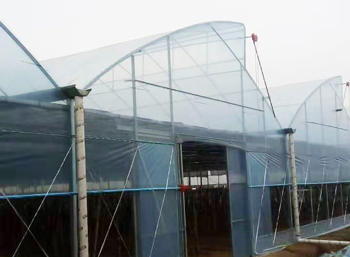 丰城市荣塘镇吉塘村委基地