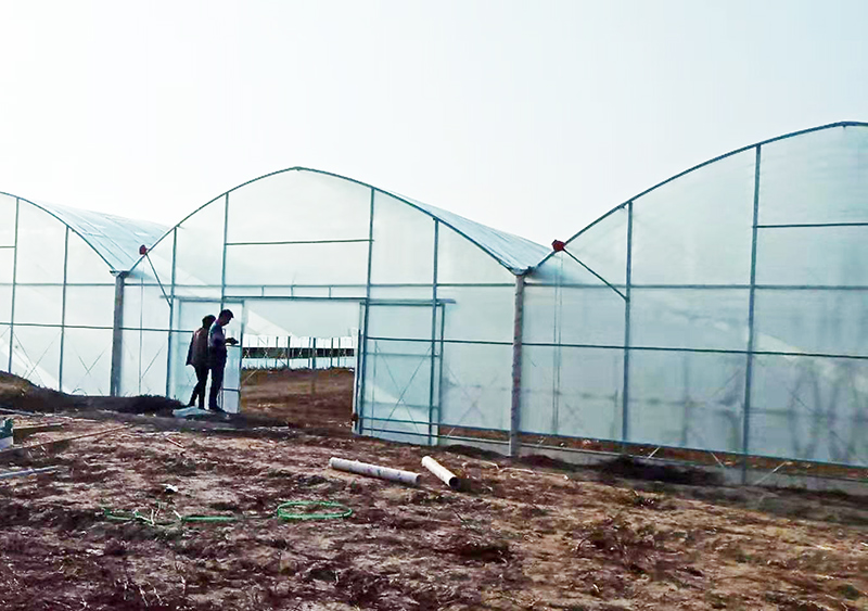九江袁总基地大棚