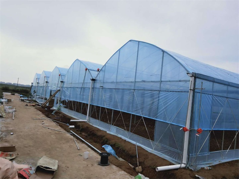 新余市仙女湖农业科技园菜艺家庭农场基地